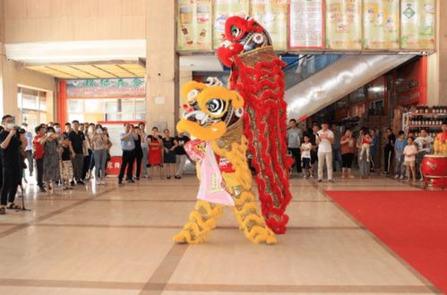 現(xiàn)代聯(lián)合集團(tuán)旗下浙江食品市場全新板塊 現(xiàn)代日用百貨城 7月30日亮相